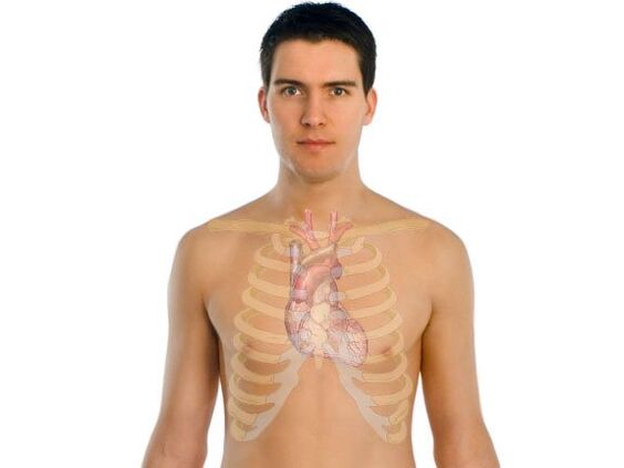 kako paraziti vplivajo na človeške organe