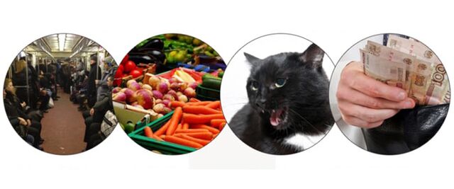 metode okužbe s paraziti