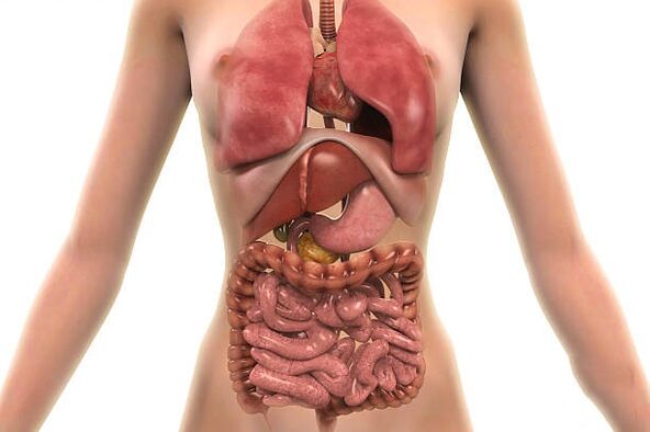 paraziti v človeškem telesu